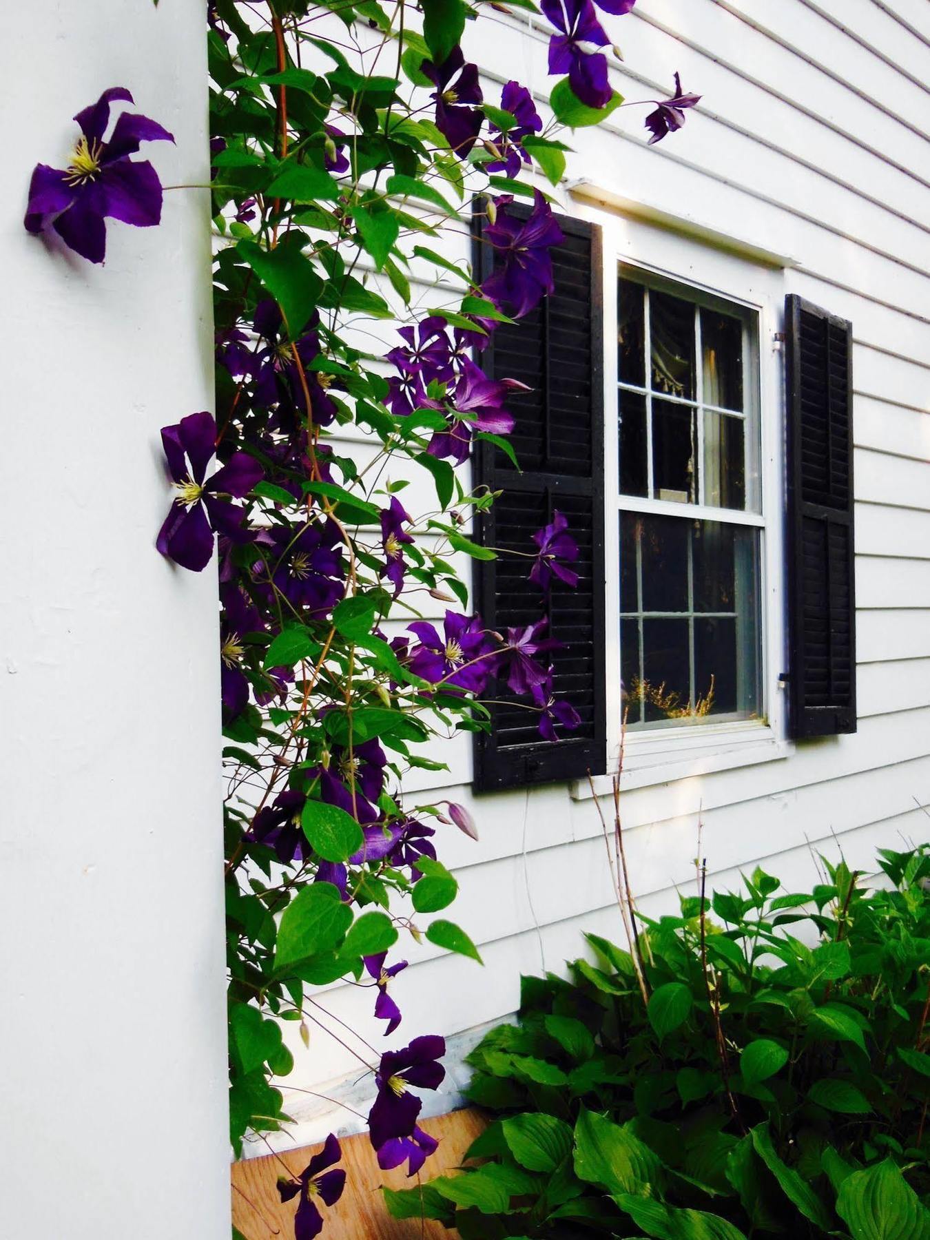 Millbrook Country House Exterior photo